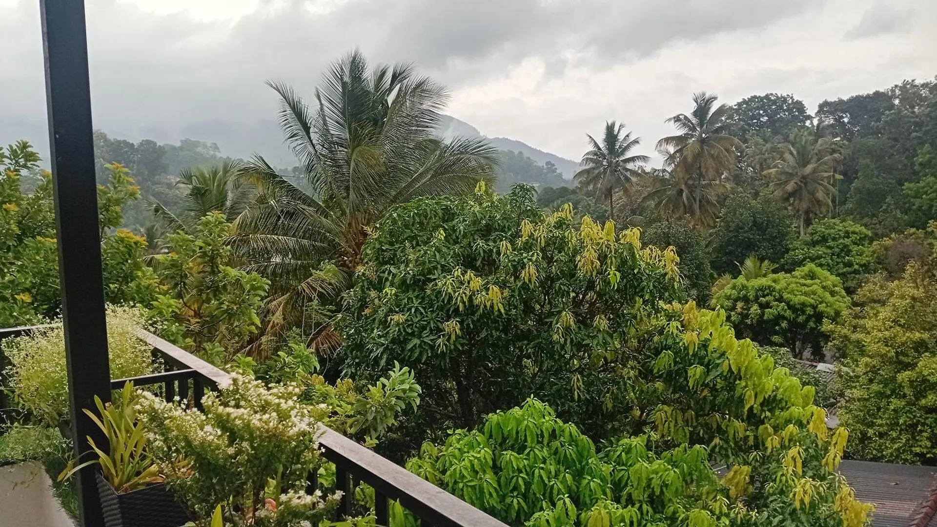Kandy Luck-C Homestay